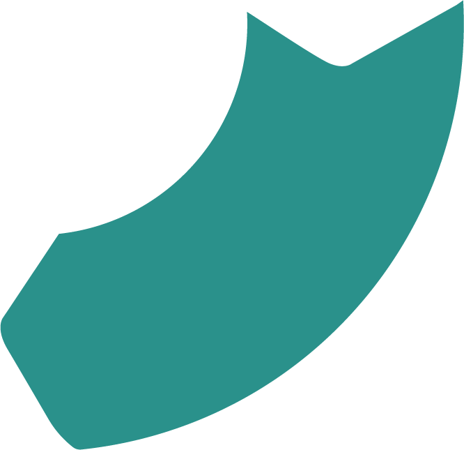Segment 4